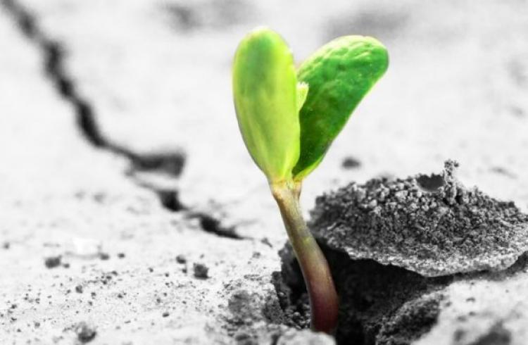 Những người có khả năng kiên nhẫn chờ cơ hội cũng có khả năng hơn trong việc thấu hiểu, thích ứng với hoàn cảnh, biết cách xoay chuyển tình thế, biến những trở ngại thành điều có thể có ích cho mình.