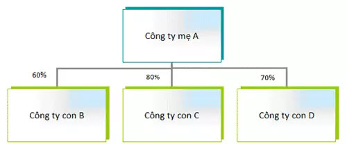 Báo cáo tài chính hợp nhất công ty mẹ, công ty con