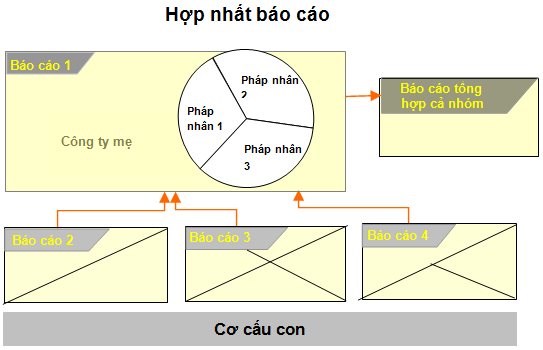 Báo cáo tài chính hợp nhất công ty mẹ, công ty con