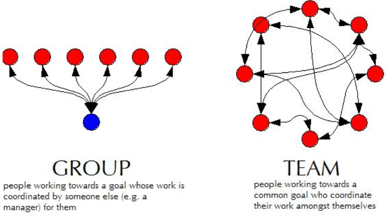 Khác nhau giữa Team và Group