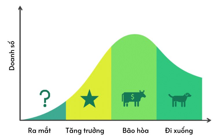 Ma trận BCG và Vòng đời sản phẩm