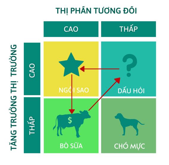 Ma trận BCG thành công là gì?