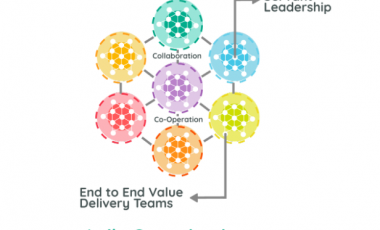 Tổ chức linh hoạt (Agile Organization) là gì?