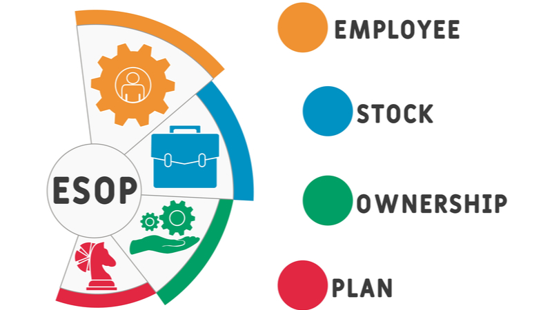 Mô hình Employee-Owned là gì? Sở hữu cổ phiếu của nhân viên (ESOP) là gì? 