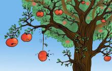 Câu chuyện kinh doanh trái táo và bài học dành cho bất cứ ai đang có ý định khởi nghiệp