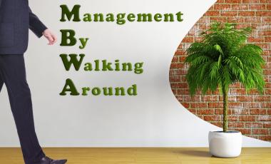 MBWA - phong cách quản lý mới bằng cách đi vòng vòng