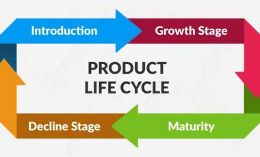 Vòng đời sản phẩm trải qua những giai đoạn nào?